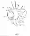 Fig. 04 - Nacelle-integrated air-driven augmentor fan for increasing propulsor bypass ratio and efficiency
