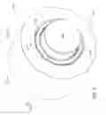 Fig. 04 - Distributed load bearing with an inner flex ring