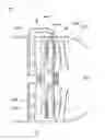 Fig. 02 - Structure of clutch for vehicle