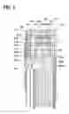 Fig. 05 - Power transmission device