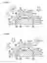 Fig. 10 - Driving force transmission apparatus