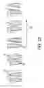 Fig. 23 - Elliptically interfacing wobble motion gearing system and method