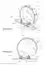 Fig. 02 - Multi-fit clip