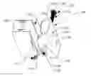 Fig. 01 - Clamping bracket