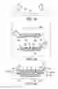 Fig. 06 - LED light linear strip, mounting structure and clip assembly