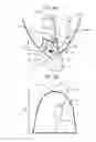 Fig. 10 - Illumination apparatus