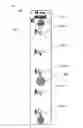 Fig. 06 - Air conditioner and control method thereof