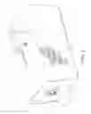 Fig. 02 - Bubble-type snowflake maker
