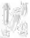 Fig. 06 - Semiautomatic firearm