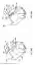 Fig. 57 - Semiautomatic firearm