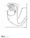 Fig. 04 - WEARABLE PERSONAL PROTECTION SPRAY DEVICE WITH TRIGGER AND SAFETY MECHANISM