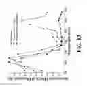Fig. 14 - Apparatus and methods for optical coherence tomography and two-photon luminescence imaging