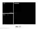 Fig. 19 - Apparatus and methods for optical coherence tomography and two-photon luminescence imaging