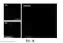 Fig. 20 - Apparatus and methods for optical coherence tomography and two-photon luminescence imaging