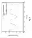 Fig. 11 - Optical displacement sensing system utilizing edge diffraction