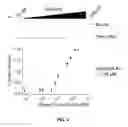 Fig. 03 - Composition comprising DNA binding peptide for DNA staining