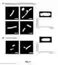 Fig. 06 - Composition comprising DNA binding peptide for DNA staining