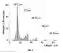 Fig. 09 - Composition comprising DNA binding peptide for DNA staining