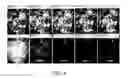 Fig. 05 - Method for reduction of autofluorescence from biological samples