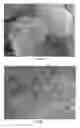 Fig. 08 - Portable apparatus for soil chemical characterization