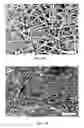 Fig. 05 - Interfacial nanofibril composite for selective alkane vapor detection