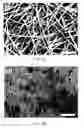 Fig. 06 - Interfacial nanofibril composite for selective alkane vapor detection