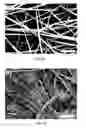Fig. 07 - Interfacial nanofibril composite for selective alkane vapor detection