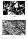 Fig. 10 - Interfacial nanofibril composite for selective alkane vapor detection