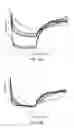 Fig. 33 - Interfacial nanofibril composite for selective alkane vapor detection