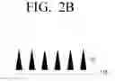 Fig. 04 - Bio sensor and sensing method thereof