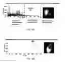 Fig. 17 - Contamination filter for mass spectrometer