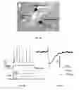 Fig. 09 - COAXIAL ELECTRODE ARRAYS AND METHODS THEREOF