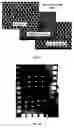 Fig. 10 - COAXIAL ELECTRODE ARRAYS AND METHODS THEREOF