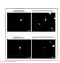 Fig. 11 - Method for determining a protein-protein interaction