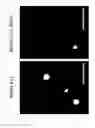 Fig. 15 - Method for determining a protein-protein interaction