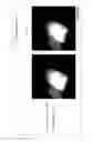 Fig. 33 - Method for determining a protein-protein interaction