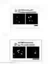 Fig. 34 - Method for determining a protein-protein interaction