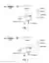 Fig. 02 - Methodologies for measuring isopeptidase activity in biological samples in a high throughput manner