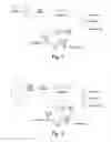 Fig. 03 - Methodologies for measuring isopeptidase activity in biological samples in a high throughput manner
