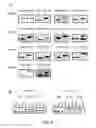 Fig. 04 - Methodologies for measuring isopeptidase activity in biological samples in a high throughput manner