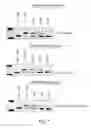 Fig. 06 - Methodologies for measuring isopeptidase activity in biological samples in a high throughput manner