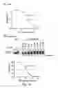 Fig. 12 - Methodologies for measuring isopeptidase activity in biological samples in a high throughput manner