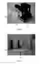 Fig. 10 - Microparticle separation chip, and microparticle separation system and microparticle separation method which employ said microparticle separation chip