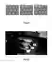Fig. 12 - Microparticle separation chip, and microparticle separation system and microparticle separation method which employ said microparticle separation chip