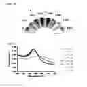 Fig. 05 - NUCLEIC ACID-FUNCTIONALIZED NANOPARTICLES