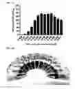 Fig. 06 - NUCLEIC ACID-FUNCTIONALIZED NANOPARTICLES