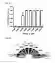 Fig. 07 - NUCLEIC ACID-FUNCTIONALIZED NANOPARTICLES