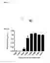 Fig. 08 - NUCLEIC ACID-FUNCTIONALIZED NANOPARTICLES
