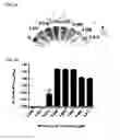 Fig. 09 - NUCLEIC ACID-FUNCTIONALIZED NANOPARTICLES