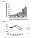 Fig. 17 - NUCLEIC ACID-FUNCTIONALIZED NANOPARTICLES